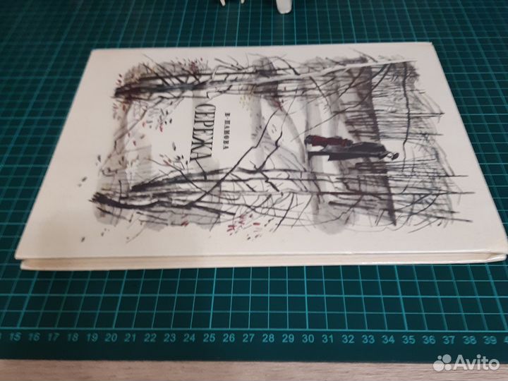 Сережа. В.Панова