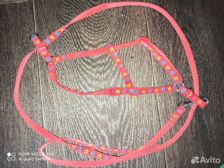 Аксессуарчики для собак