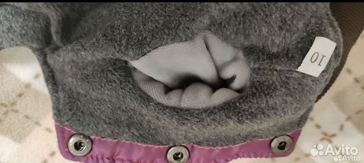 Одежда для собак мелких пород