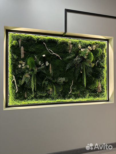 Панно из мха и стабилизированных растений