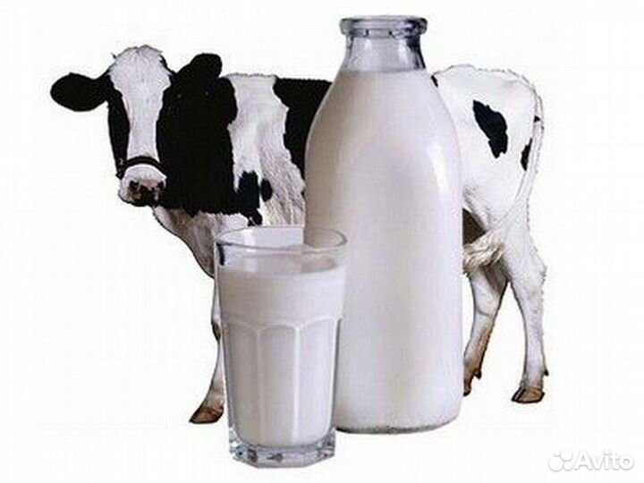 Домашние продукты. Молочные и мясные сеты