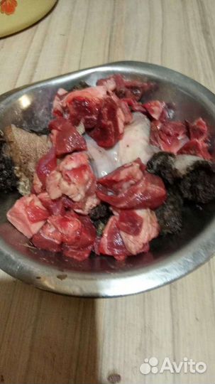 Натуральная еда для собак