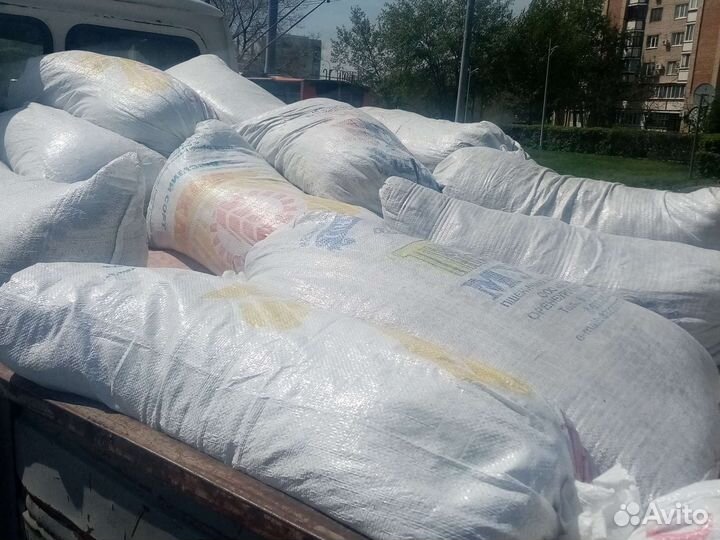 Растения для сада