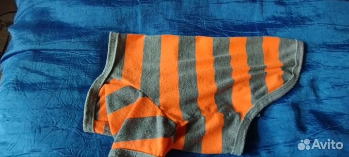 Одежда для собак мелких пород