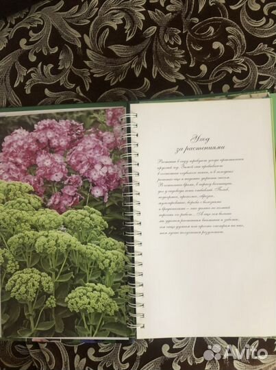 Подарочная книга