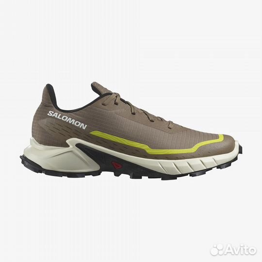 Кроссовки Salomon alphacross 5