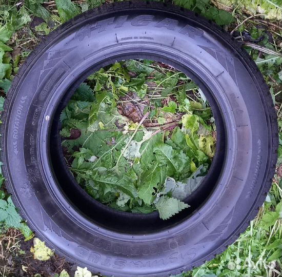 Tigar Sigura Stud 205/60 R16