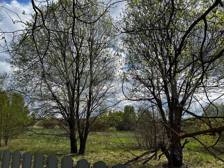 Участок 12 сот. (ИЖС)