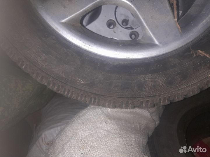 Accelera Eco Plush 195/65 R15