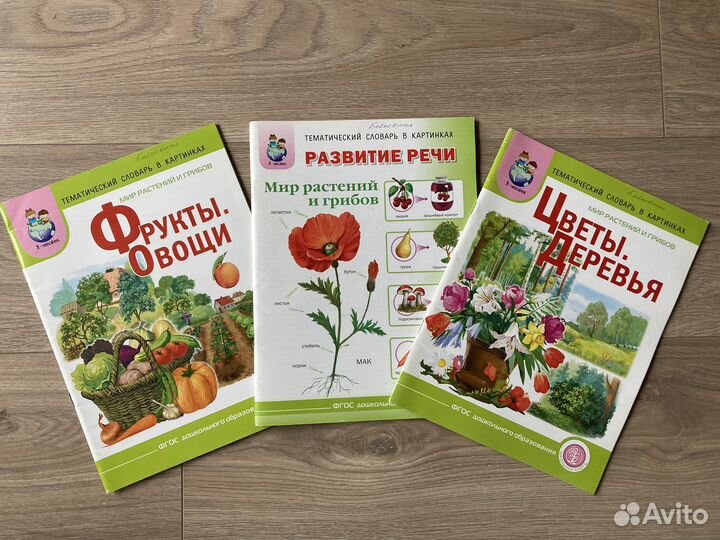 Книги развитие речи