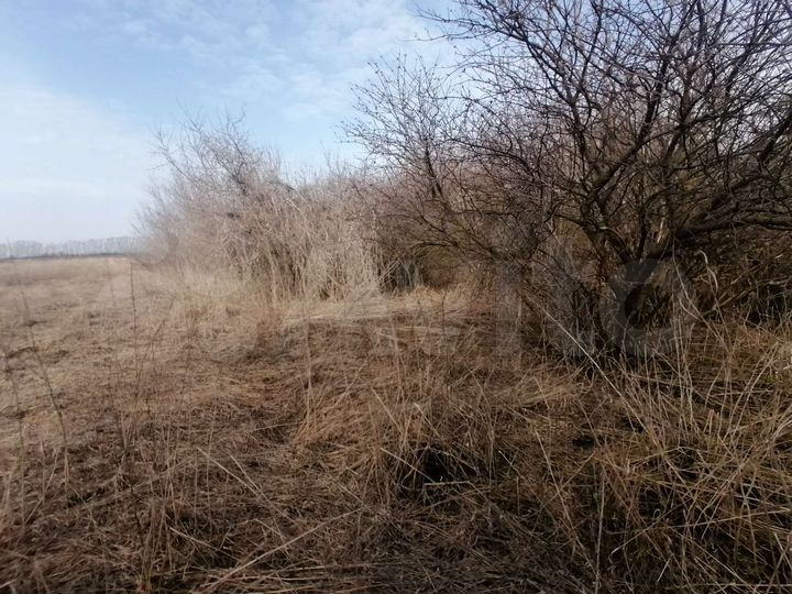 Дом 50 м² на участке 40 сот.