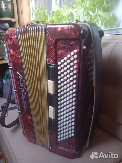 Баян weltmeister