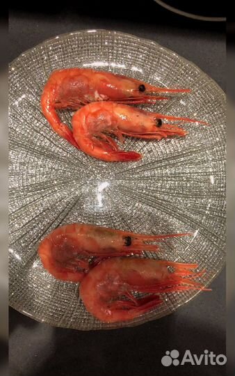 Креветка Северная