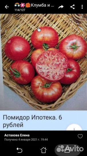 Семена томатов