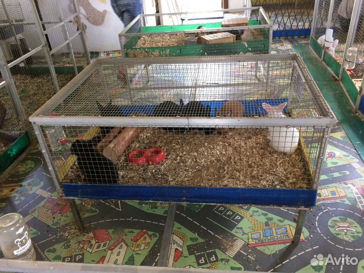 Клетки для животных