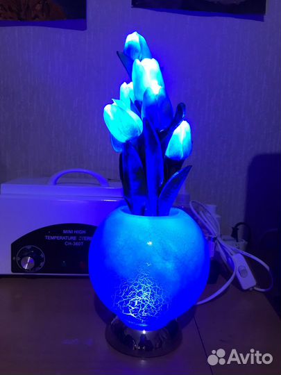 Ночник цветы