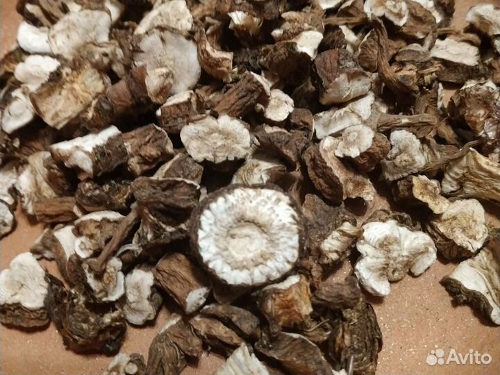 Корень одуванчика, аира, сабельника, пырея, лопуха