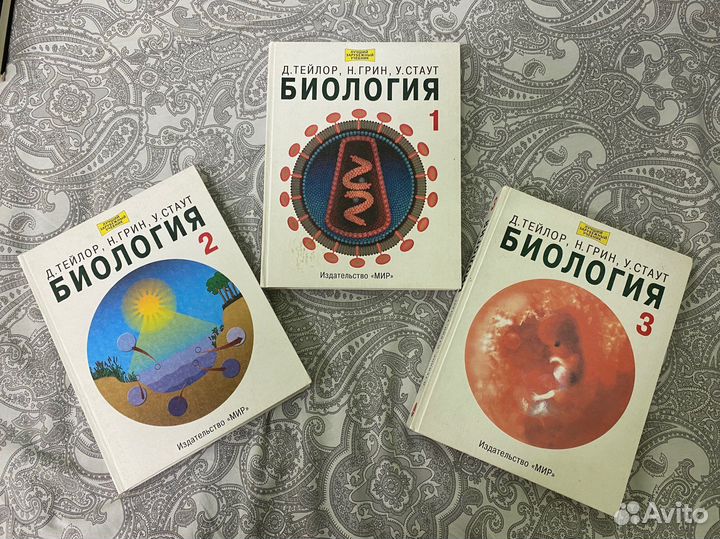 Биология грин стаут тейлор