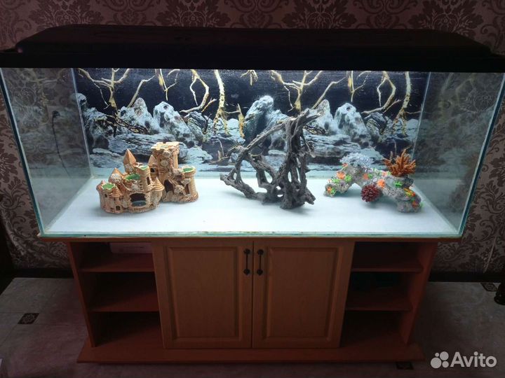Аквариум