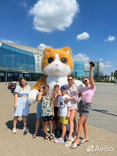 Аниматоры/Белый мишка/Единорожка/Поздравление