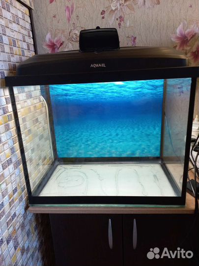 Аквариум