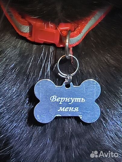 Адресник для животных, кошек, собак