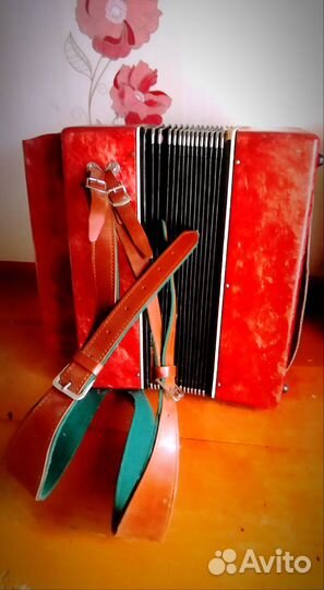 Баян унисон 204