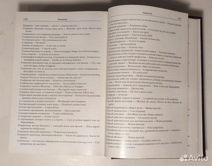 Словарь иноязычных выражений и слов