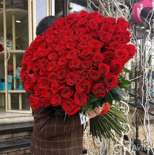 Розы Высокие 150см 160см 170см 180см 190см 2м