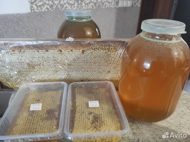 Свежий мед 2023