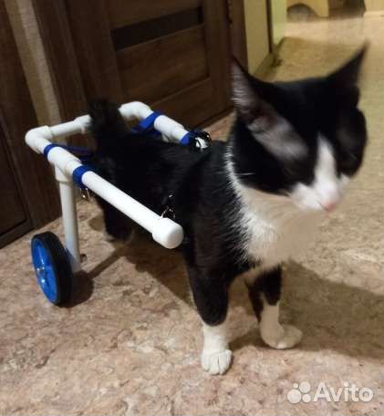 Тележка для собак