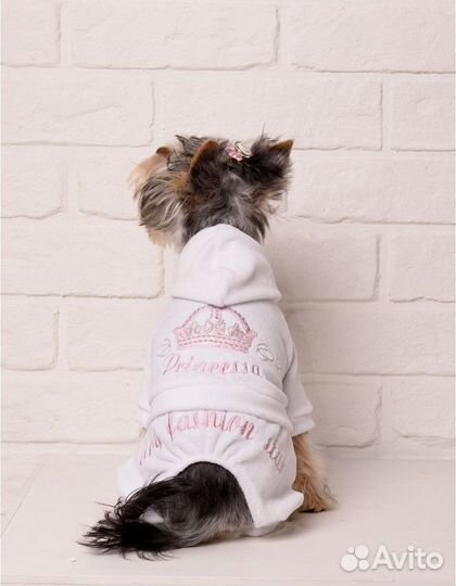 Вещи для маленьких собак пакетом, шлейка и поводок