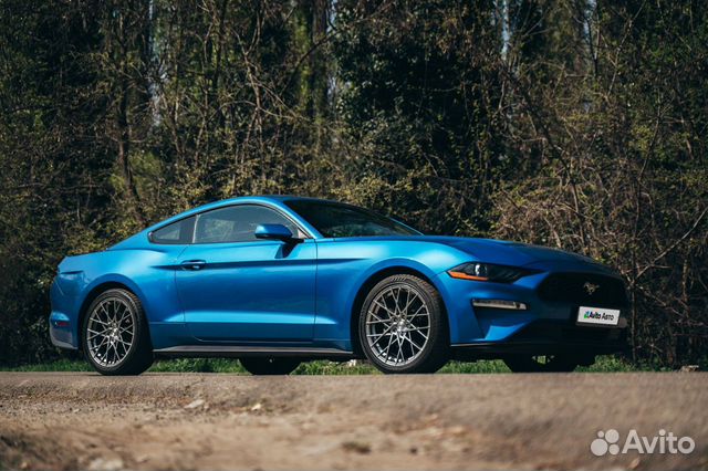 Ford Mustang 2.3 AT, 2019, 67 800 км с пробегом, цена 2500000 руб.