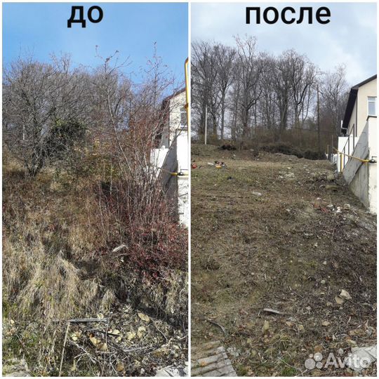 Расчистка участков / Вывоз мусора