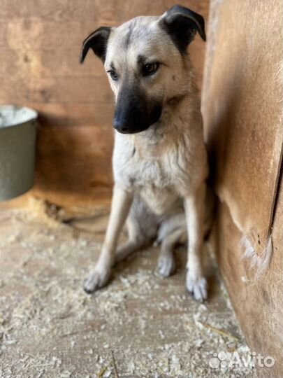 Тяжело любить весь мир