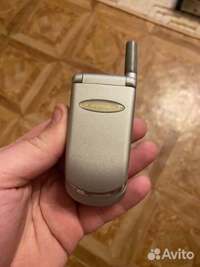 Motorola V50