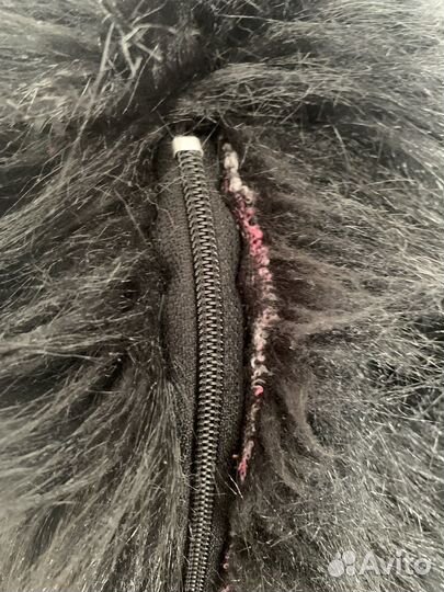 Фурсьют раптор