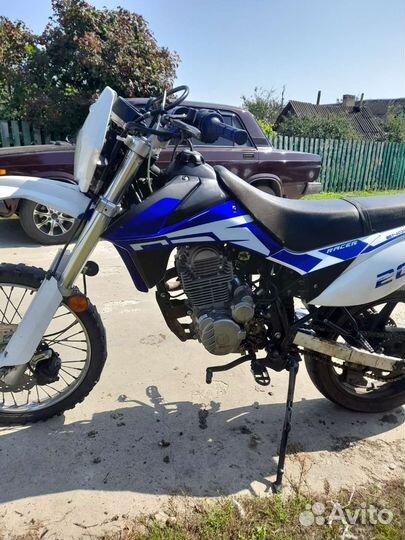 Рейсер эндуро 250