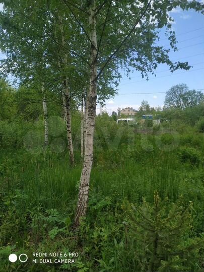 Участок 5 сот. (ИЖС)