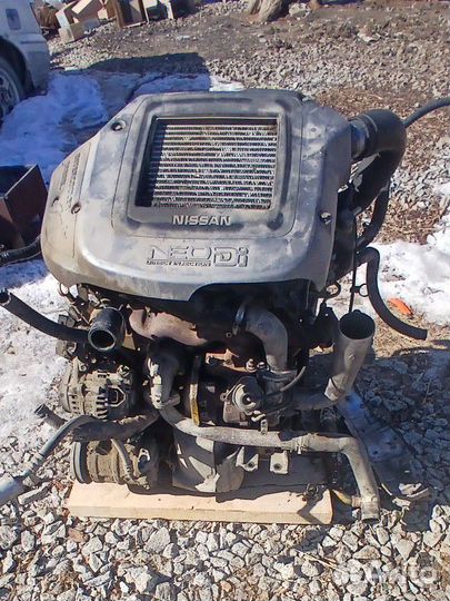 Nissan YD25 двигатель