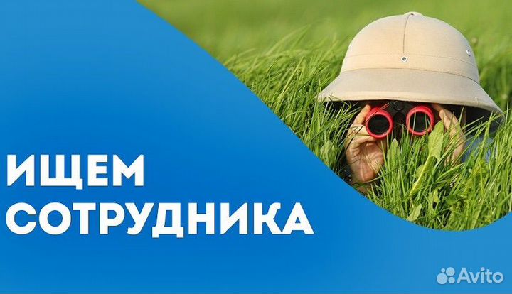 Продавец - консультант (еженедельные выплаты)