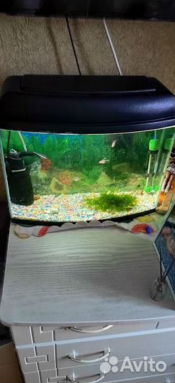 Аквариум с рыбками бу