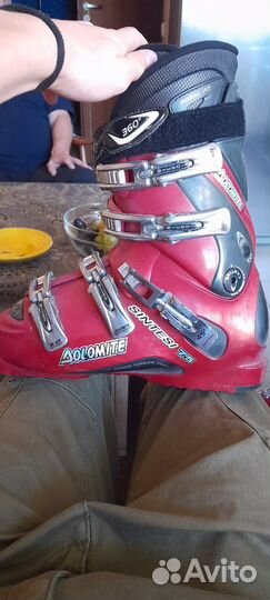 Горные лыжи