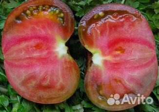 Семена редких сортов томатов и перцев