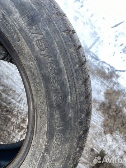 Nokian Tyres Hakkapeliitta 7 175/65 R14 86