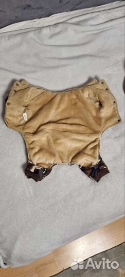 Одежда для собак