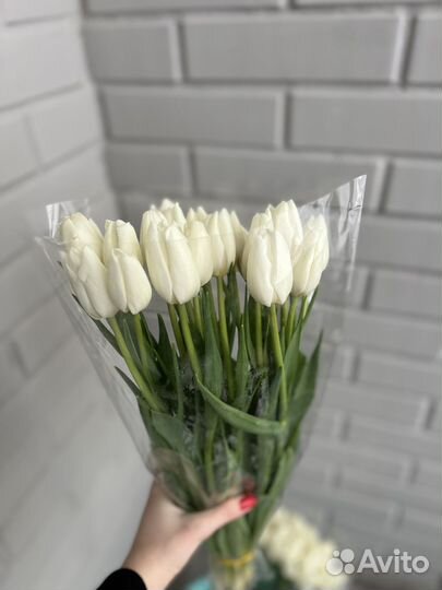 Тюльпаны к 8 марта