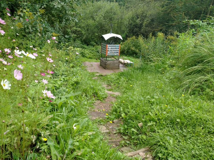 Дом 33,6 м² на участке 18 сот.