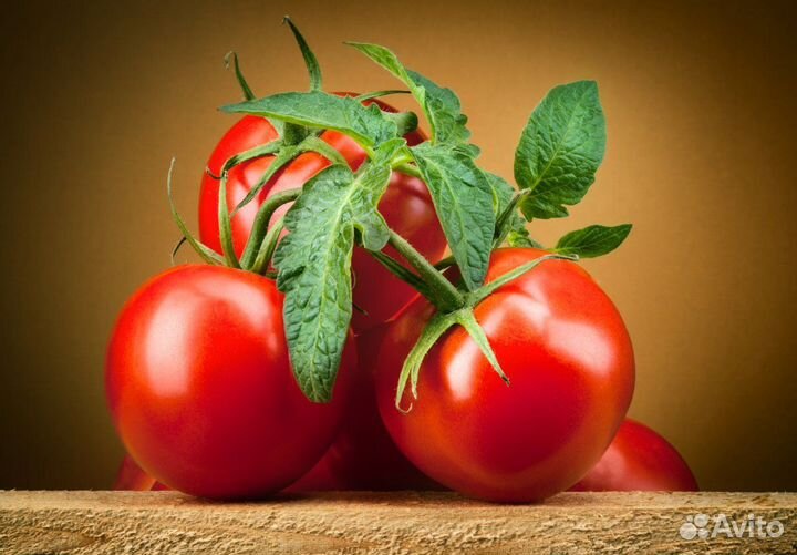 Сортировщица помидор Вахта Людиново с питанием