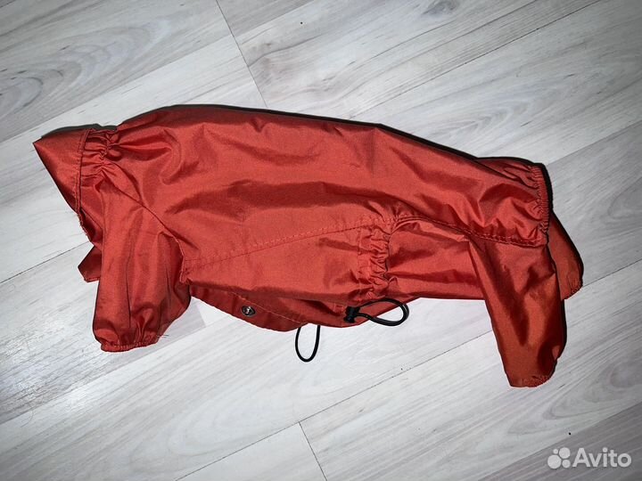 Одежда для собак мелких пород